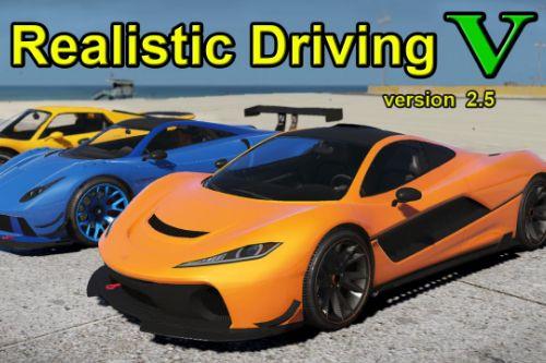 Realistic Driving V